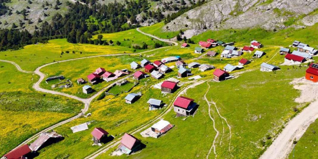 Sarı çiçeklere bürünen çayırları, buz gibi akan çeşmeleri... Gümüşhane’nin 950 rakımda masal diyarı 1